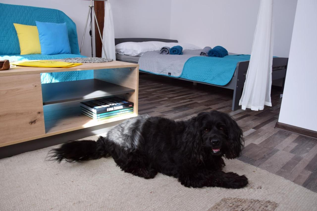 Apartament Gornicza W Kowarach Kowary Luaran gambar